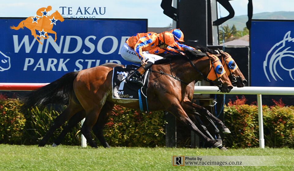 Te Akau Hastings Saturday Preview