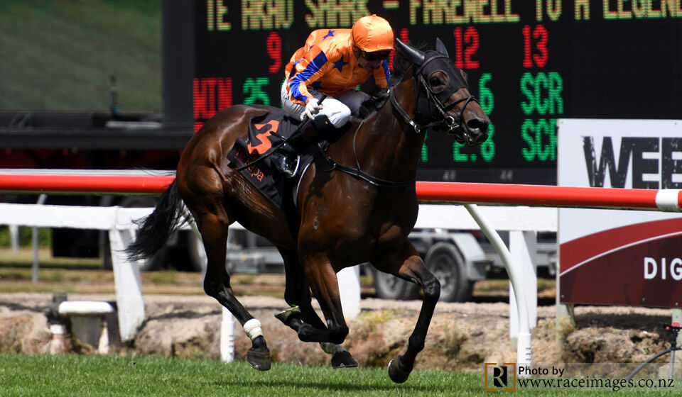 Triple Te Rapa Treat - Win No.1 Festivity