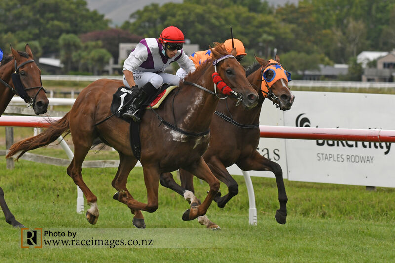 Fierce Flight Fights Hard to Win