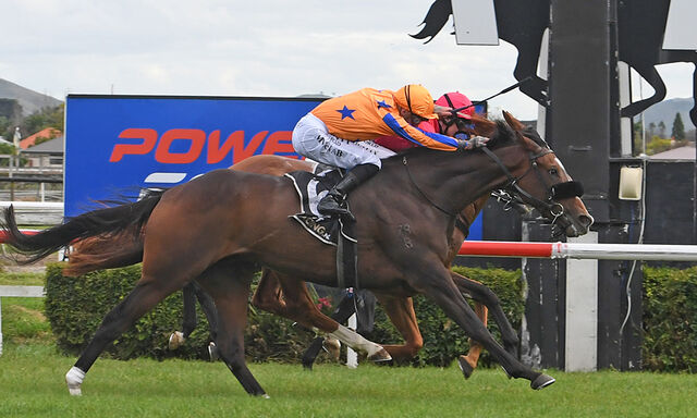 Te Akau Hamilton Sunday Preview