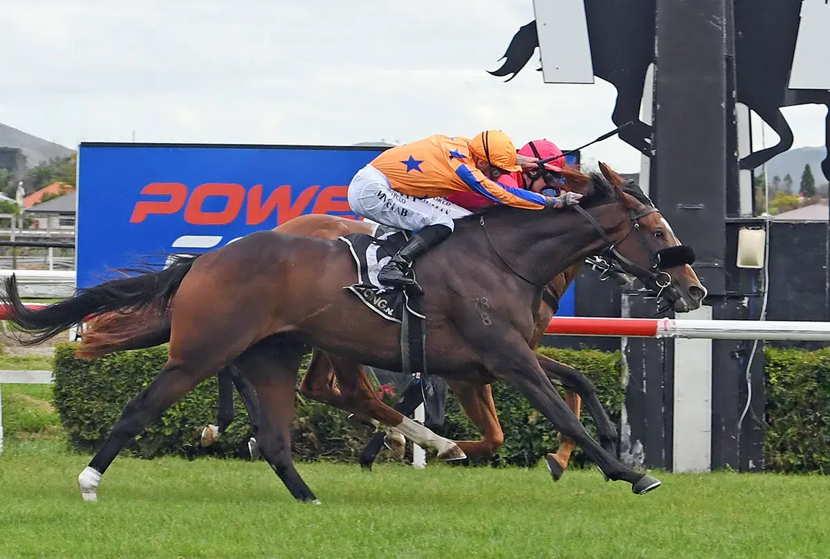 Season Review: Fierce in Full Flight