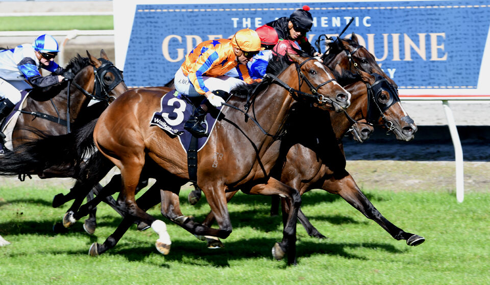 4 Win Friday - Fierce Flight Fantastic