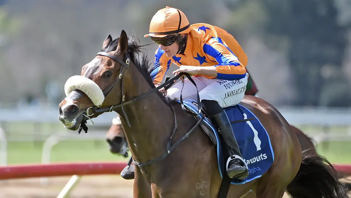 Fierce Flight Kicks Off Busy Te Akau Weekend