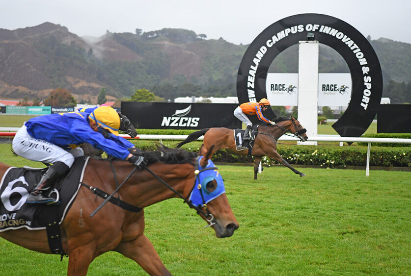 Te Akau Treble - Fierce Flight Flies