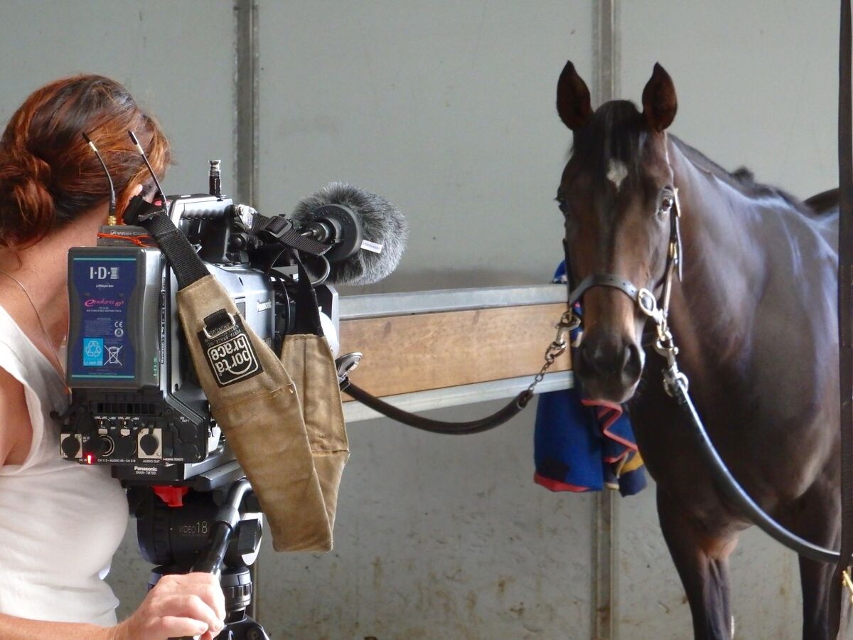 All Eyes On Xtravagant