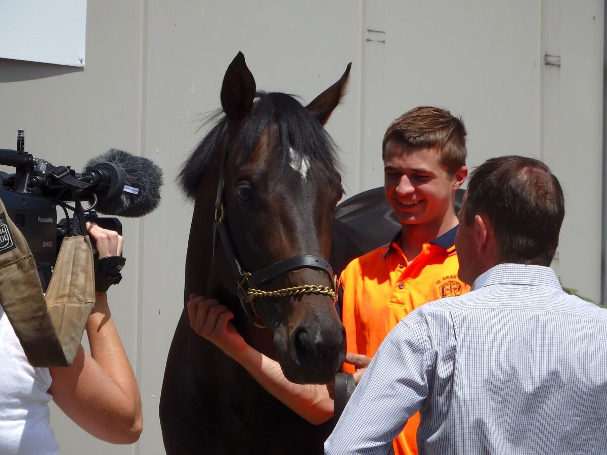 Rising Star installed Australian Guineas' Favourite