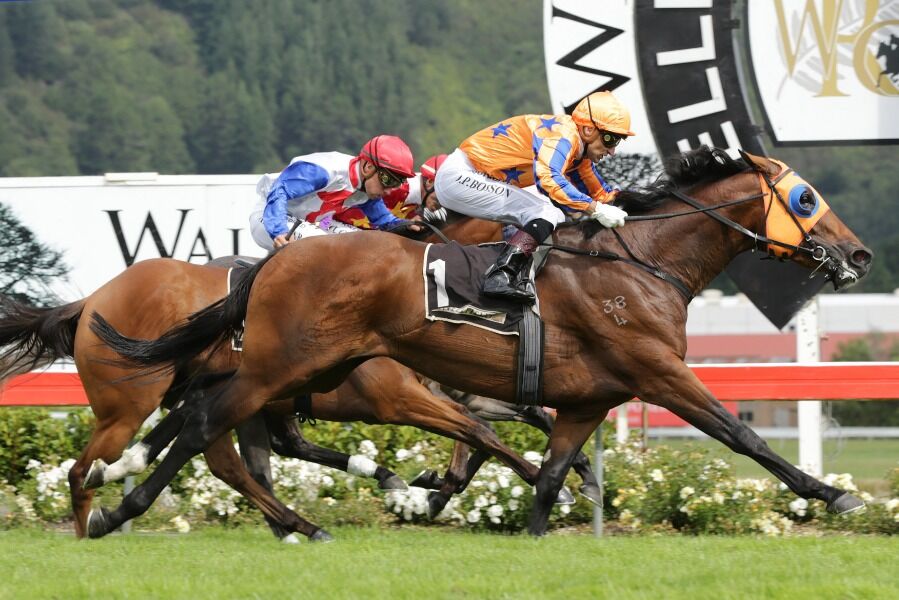 Age of Fire to Australia