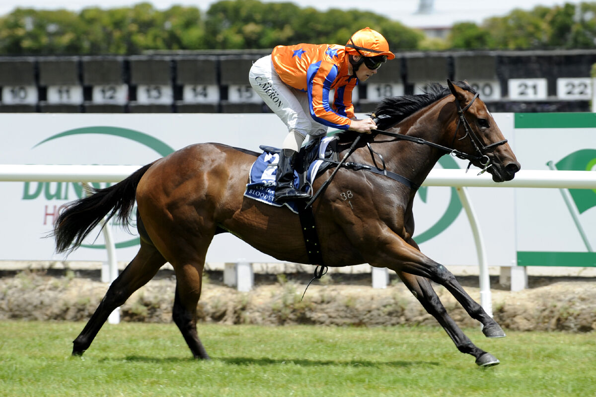 Te Akau Thursday Trackwork