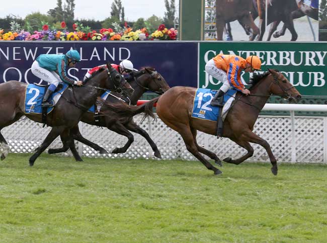 Flaming on Fire - Saturday Win No.2