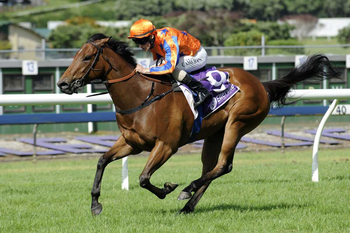 Te Akau Ellerslie Sunday Preview
