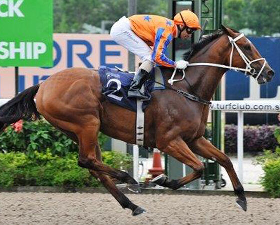 New Life for Stable Star