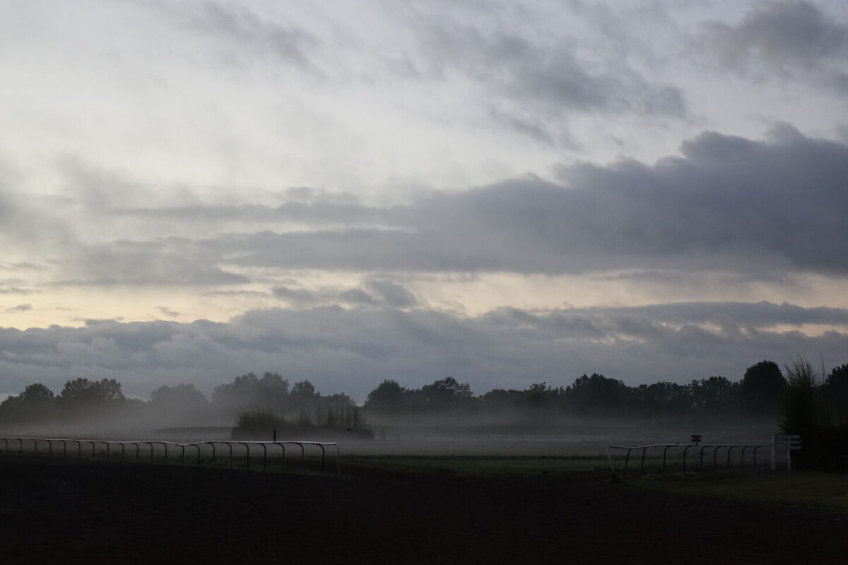 Te Akau Tuesday Trackwork
