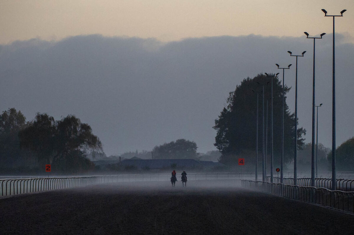 Te Akau Weekend Trackwork