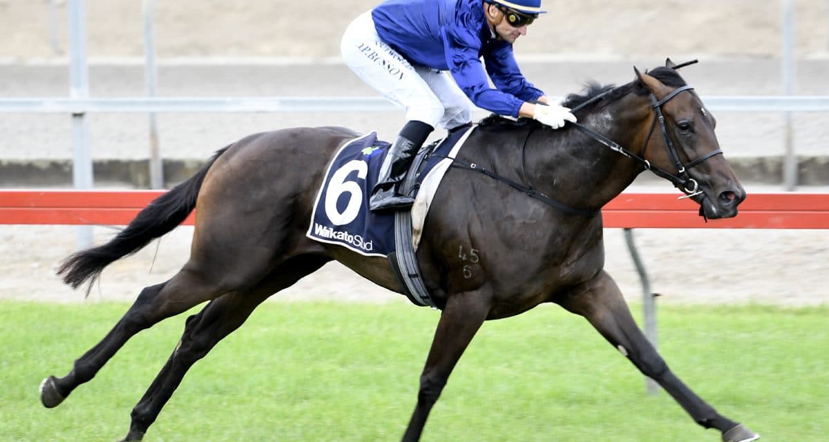 Coolmore Filly Stars at Matamata