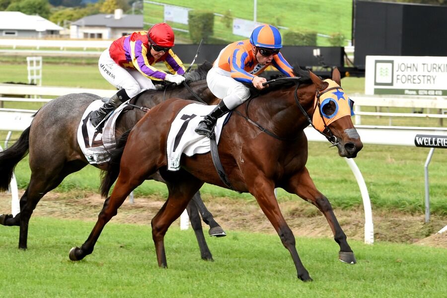Taupo Gallops Further Preparation