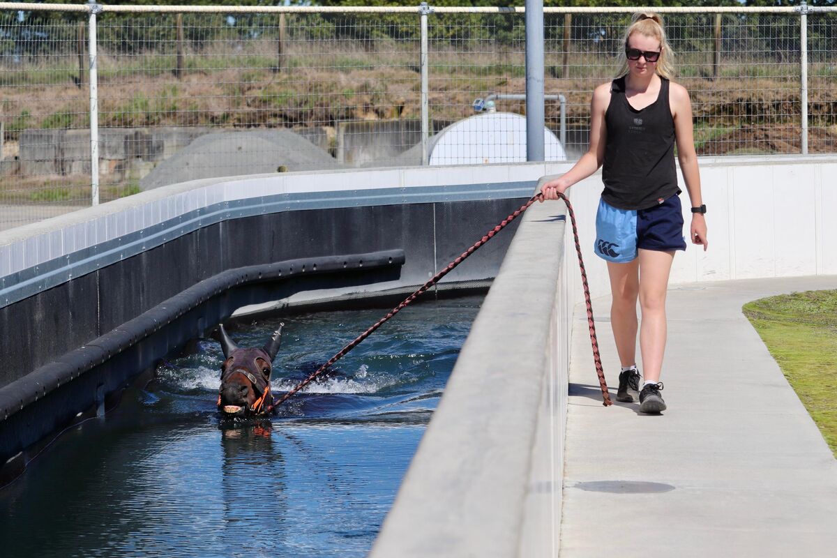 Te Akau Weekend Trackwork