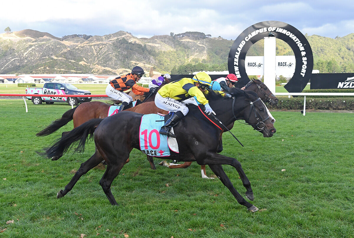 3 Win Saturday - Francee Ferocious in Cup
