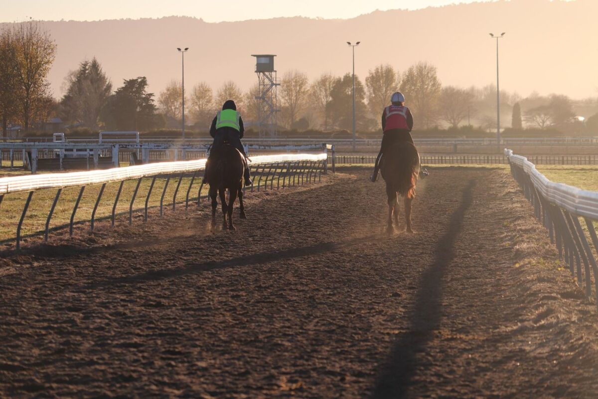 Te Akau Friday Trackwork