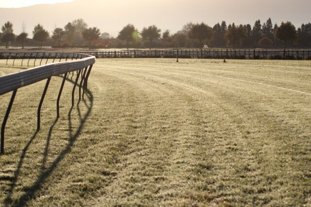 Te Akau Saturday Trackwork