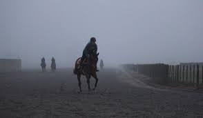 Te Akau Thursday Trackwork