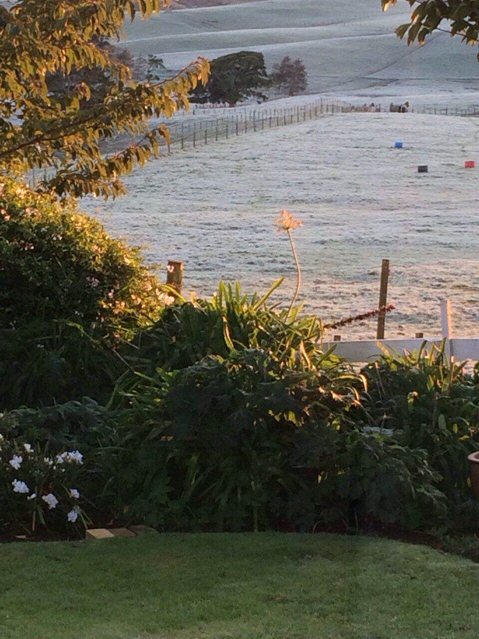 Te Akau Thursday Update