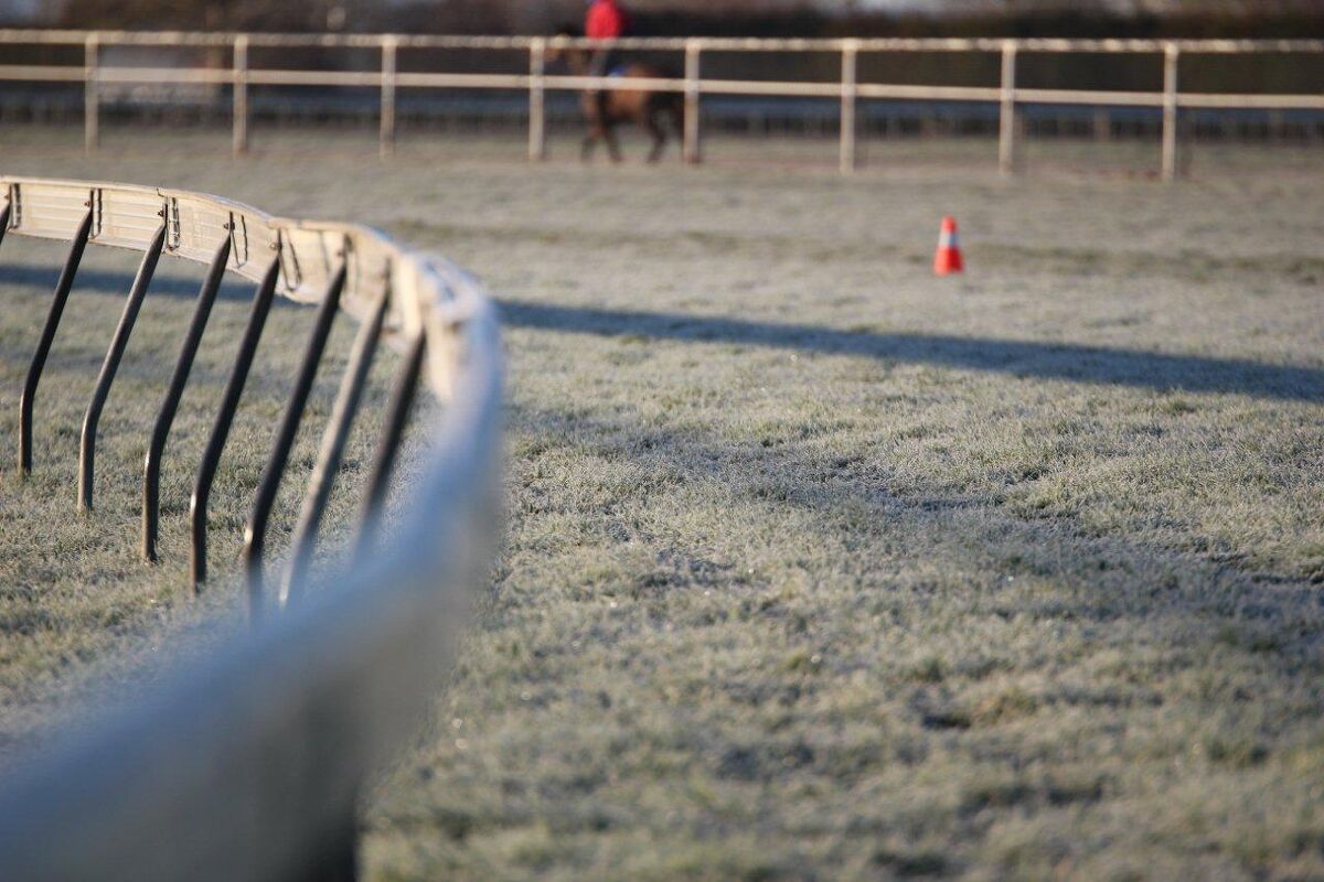 Matamata Tuesday Trackwork