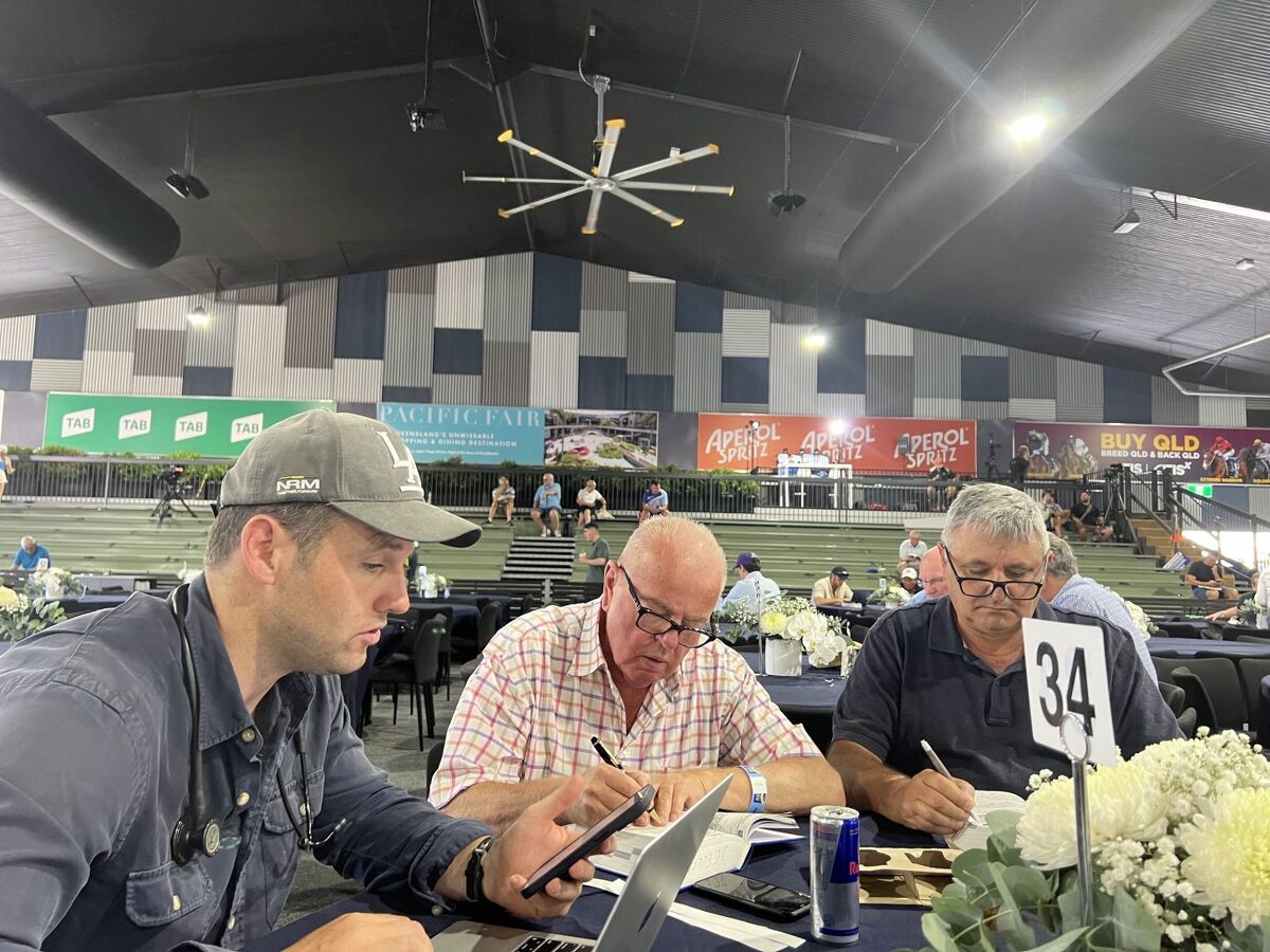 Te Akau Monday Update