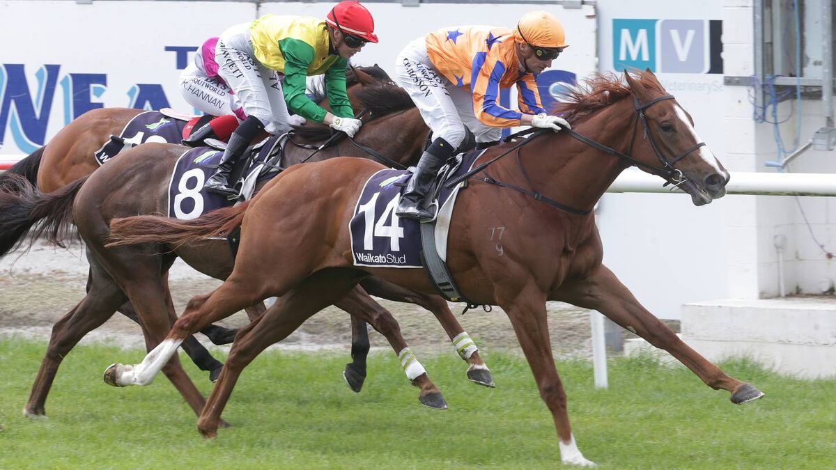 Opie Bosson Back For Te Rapa Double