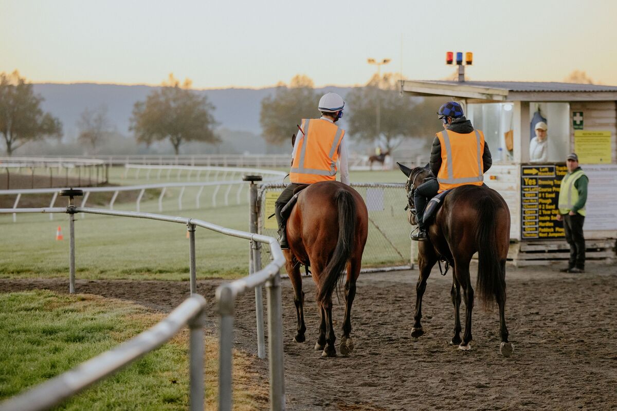 Te Akau Trans Tasman Tuesday Trackwork