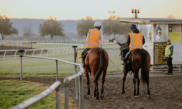 Te Akau Trans Tasman Tuesday Trackwork