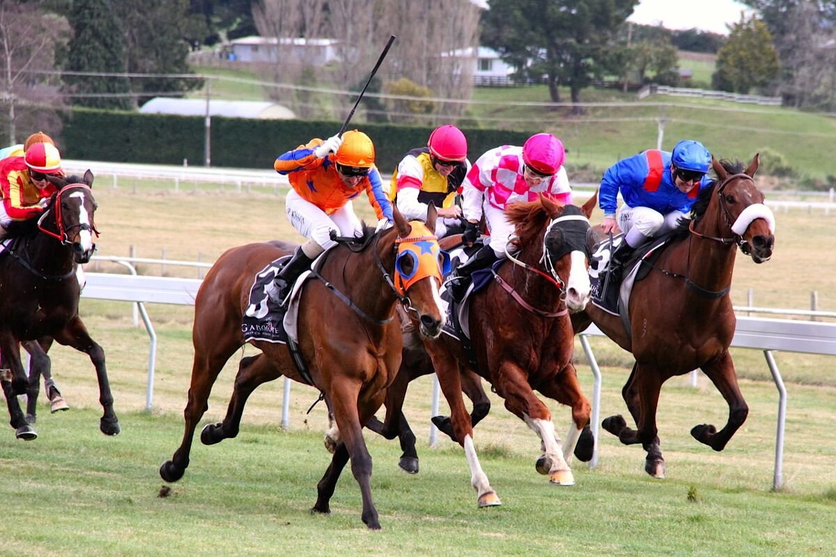 First Winner of NZ Season in Action