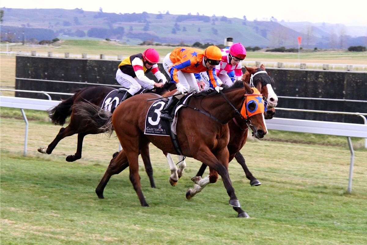 Te Akau Te Rapa Preview