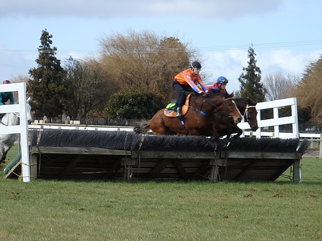 Te Akau Trials' Report