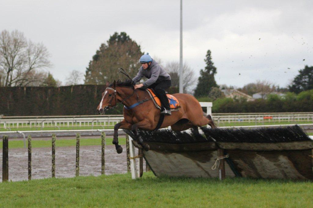 Te Akau NZ Sunday Preview