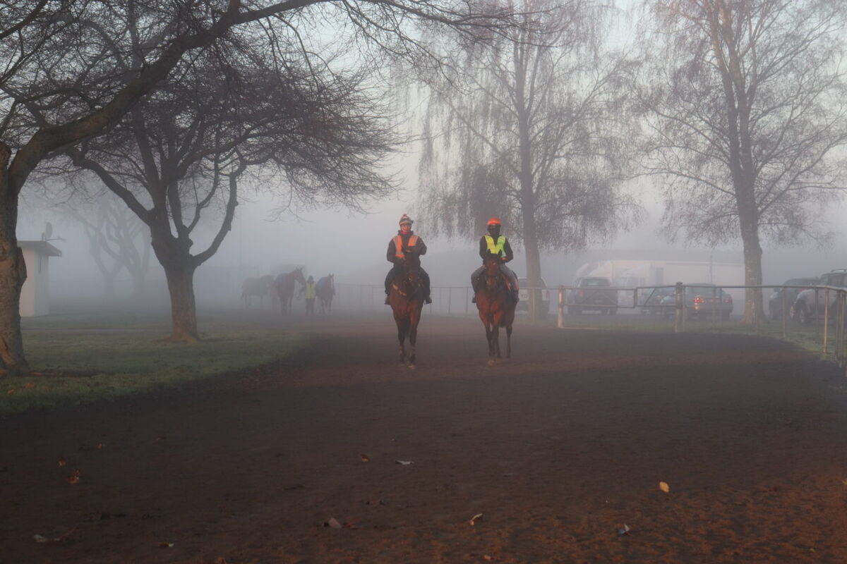 Te Akau NZ Midweek Trackwork