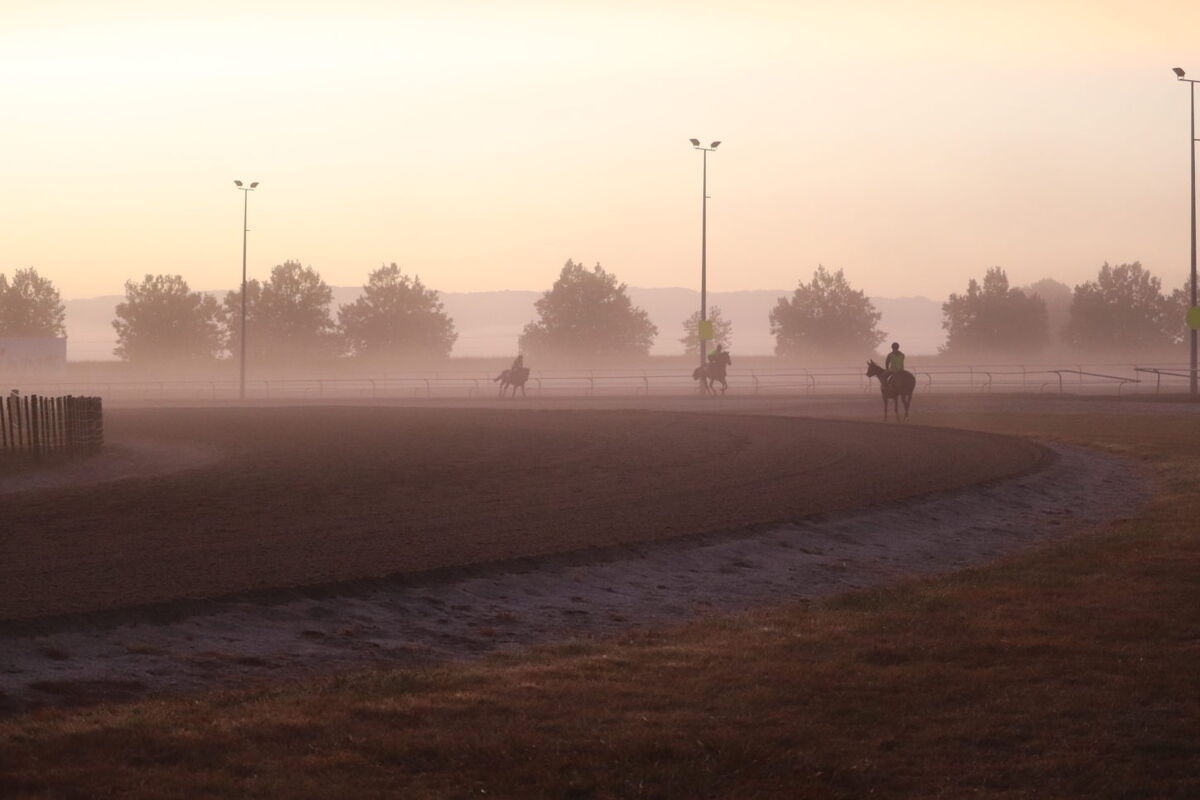 Te Akau Trans Tasman Saturday Trackwork
