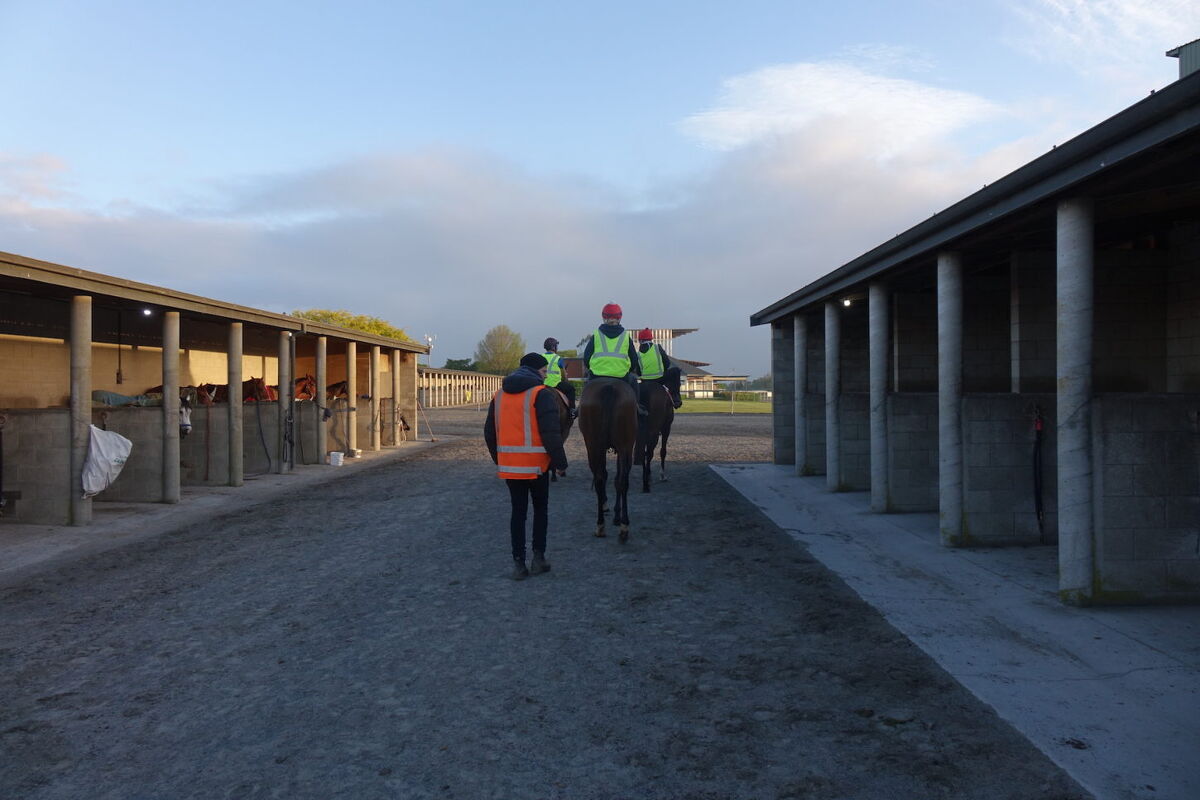 Te Akau Weekend Trackwork