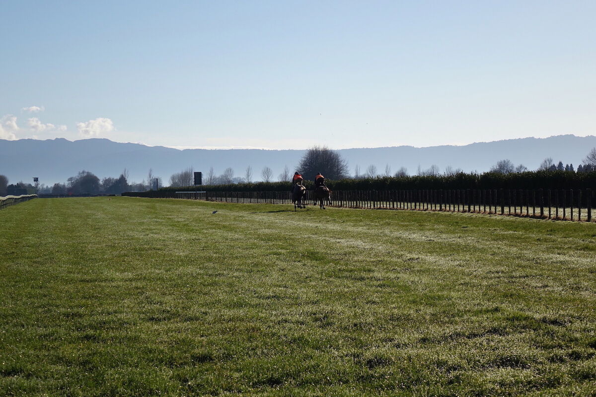 Te Akau Trans Tasman Tuesday Trackwork