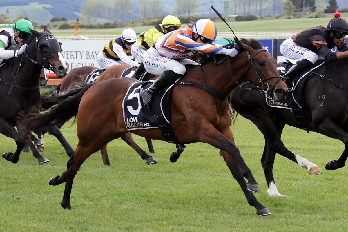 6 WINS - 24 HOURS: Swiss Queen Rules