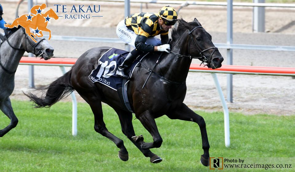 Winning Matamata Double
