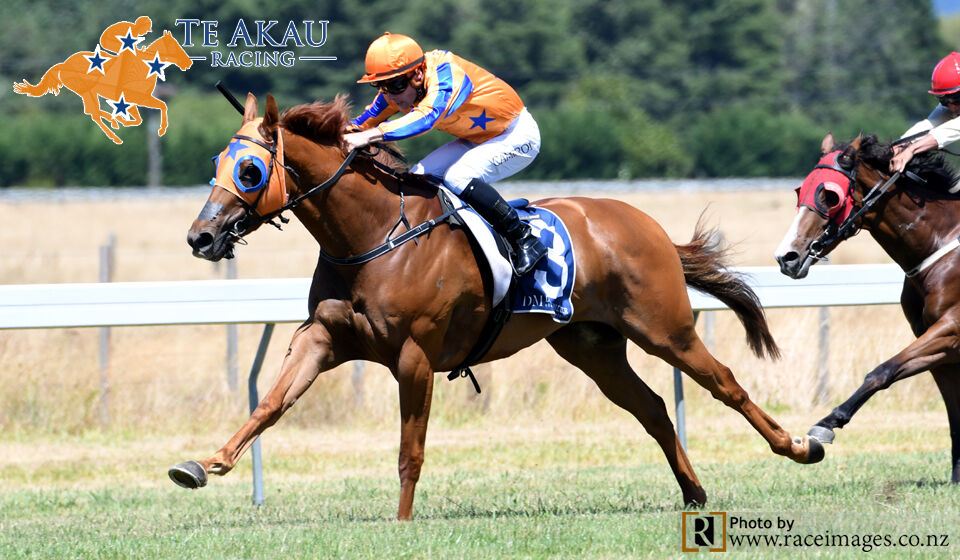 Gingernuts Crunches Them - Grp 2 Glory