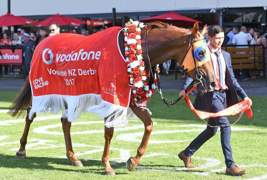 Te Akau Horses are Finalists