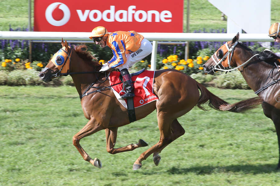 For the love of Gingernuts