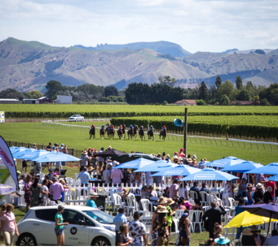 Te Akau Gisborne Preview