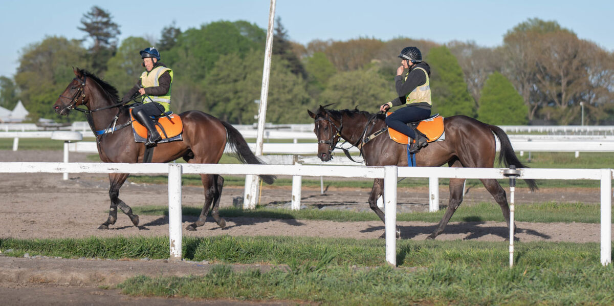 Te Akau Thursday Trackwork