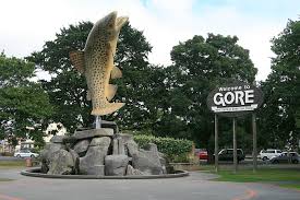 Te Akau Gore Preview