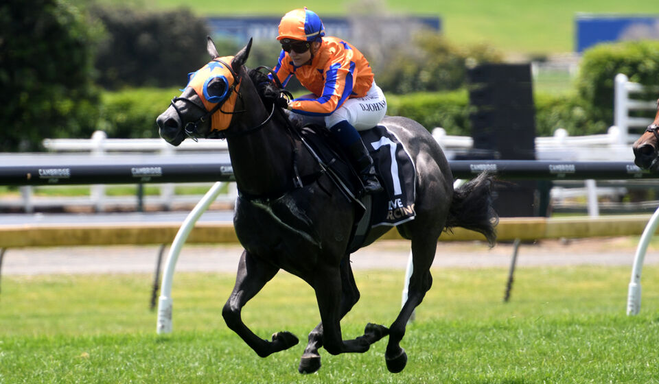 Boxing Day Win 1 - Grace 'n' Grey Simply Gorgeous