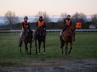 Te Akau Tuesday Trackwork
