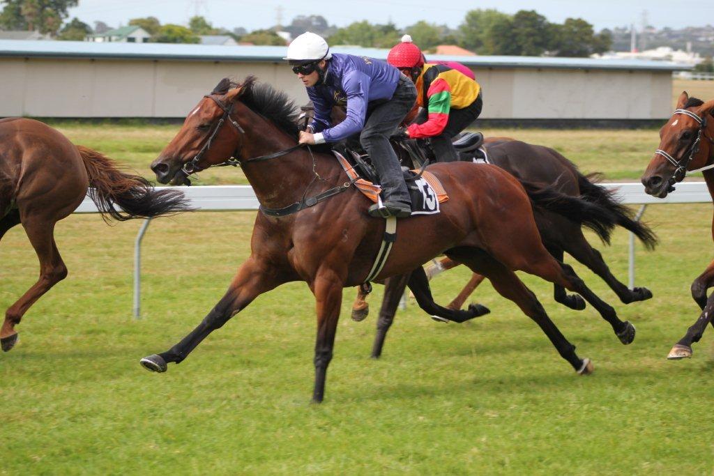 Te Akau Thursday Trackwork