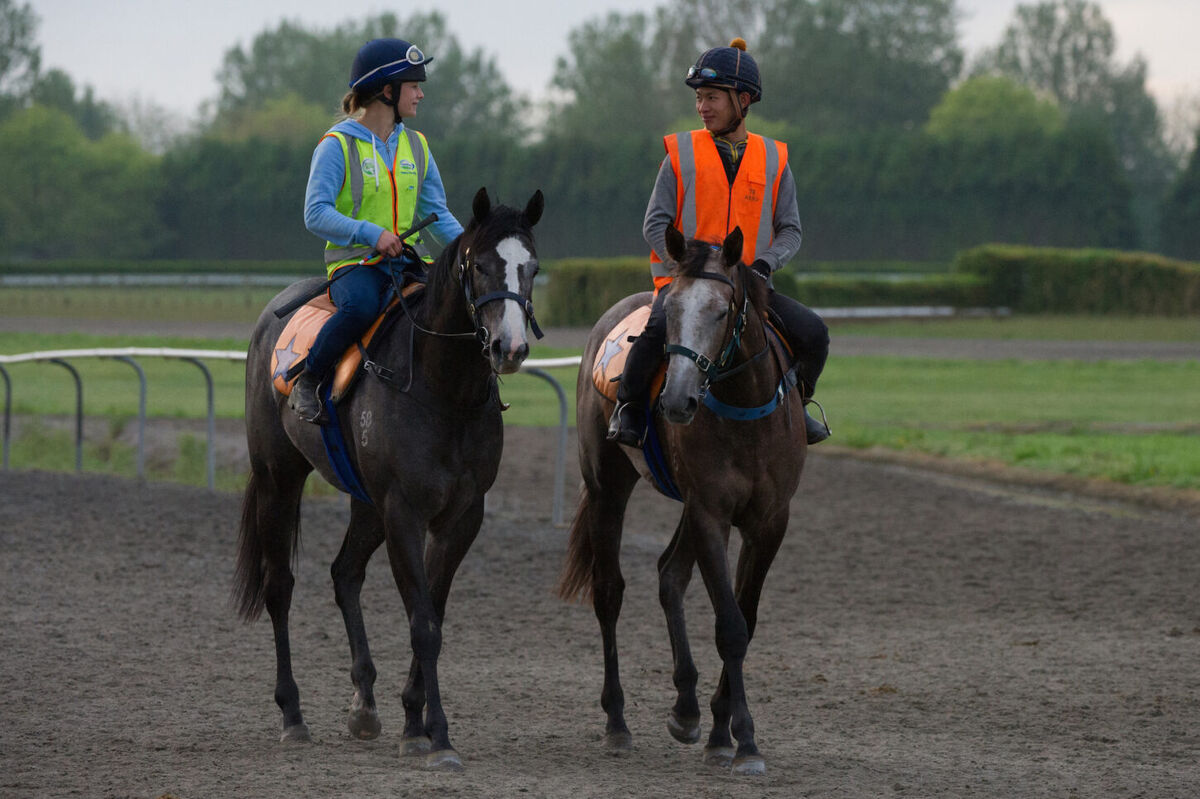 Te Akau Thursday Track work